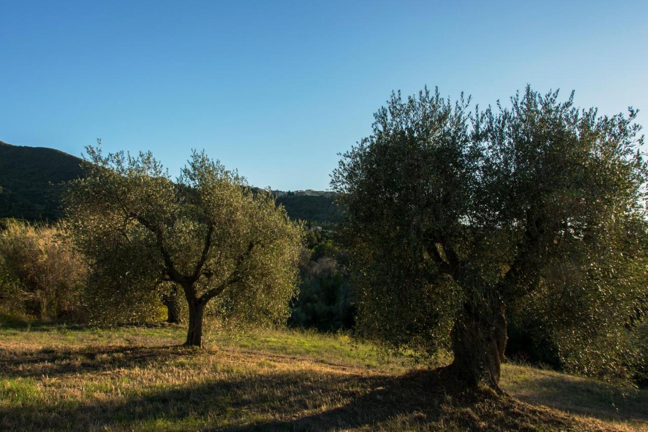 Tenuta Col Di Sasso Scarlino Exterior photo