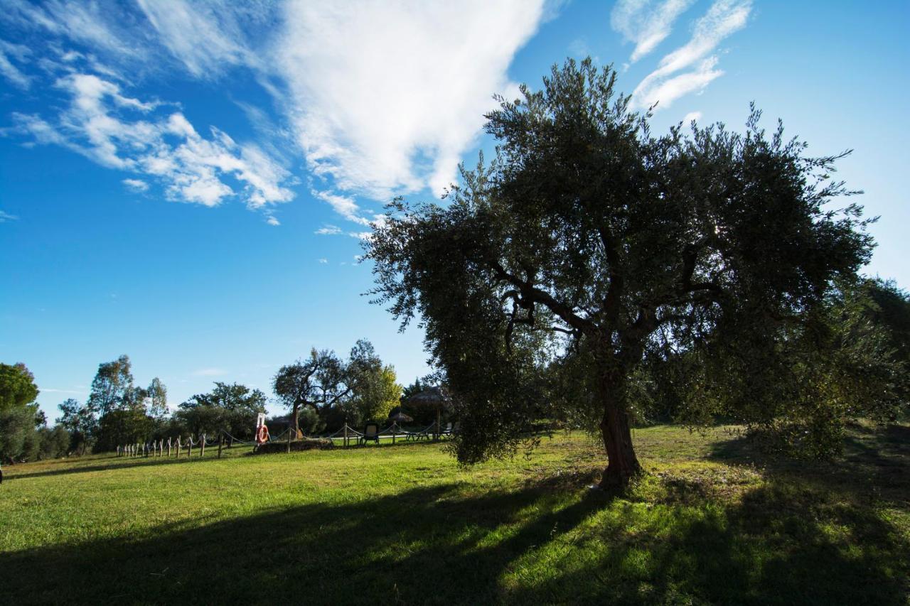 Tenuta Col Di Sasso Scarlino Exterior photo